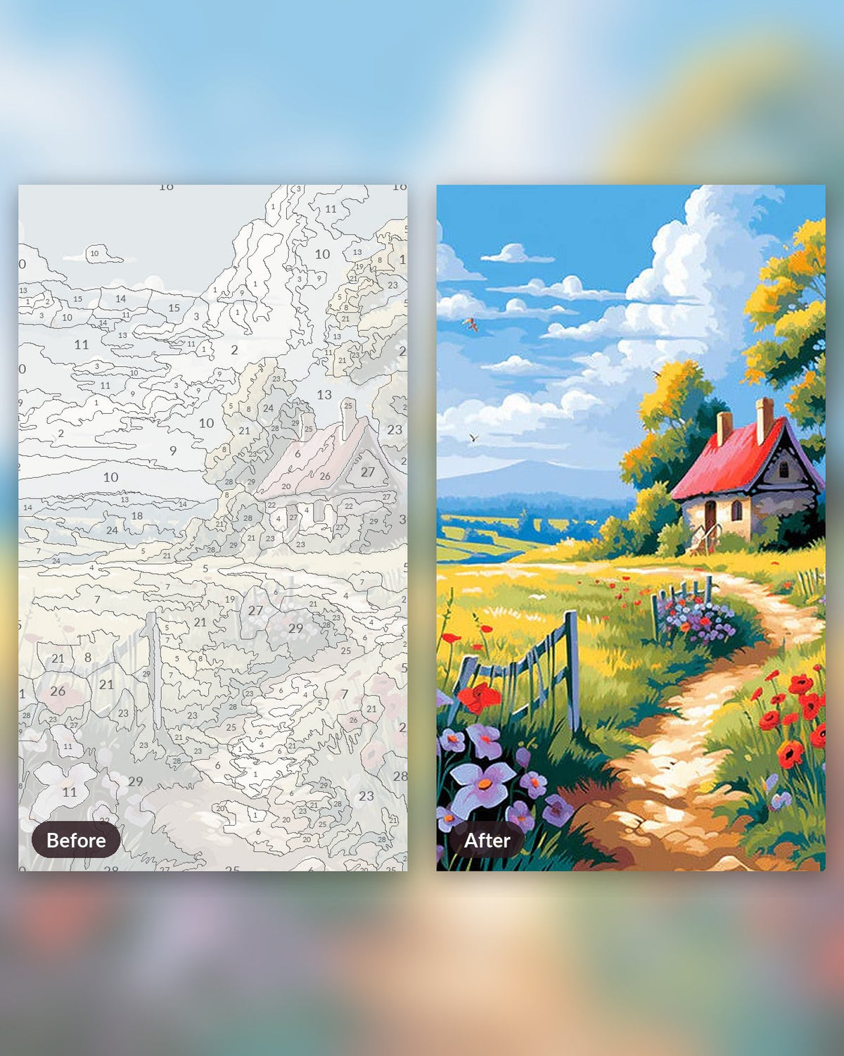 Pastoral Symphony paint by numbers kit, before and after