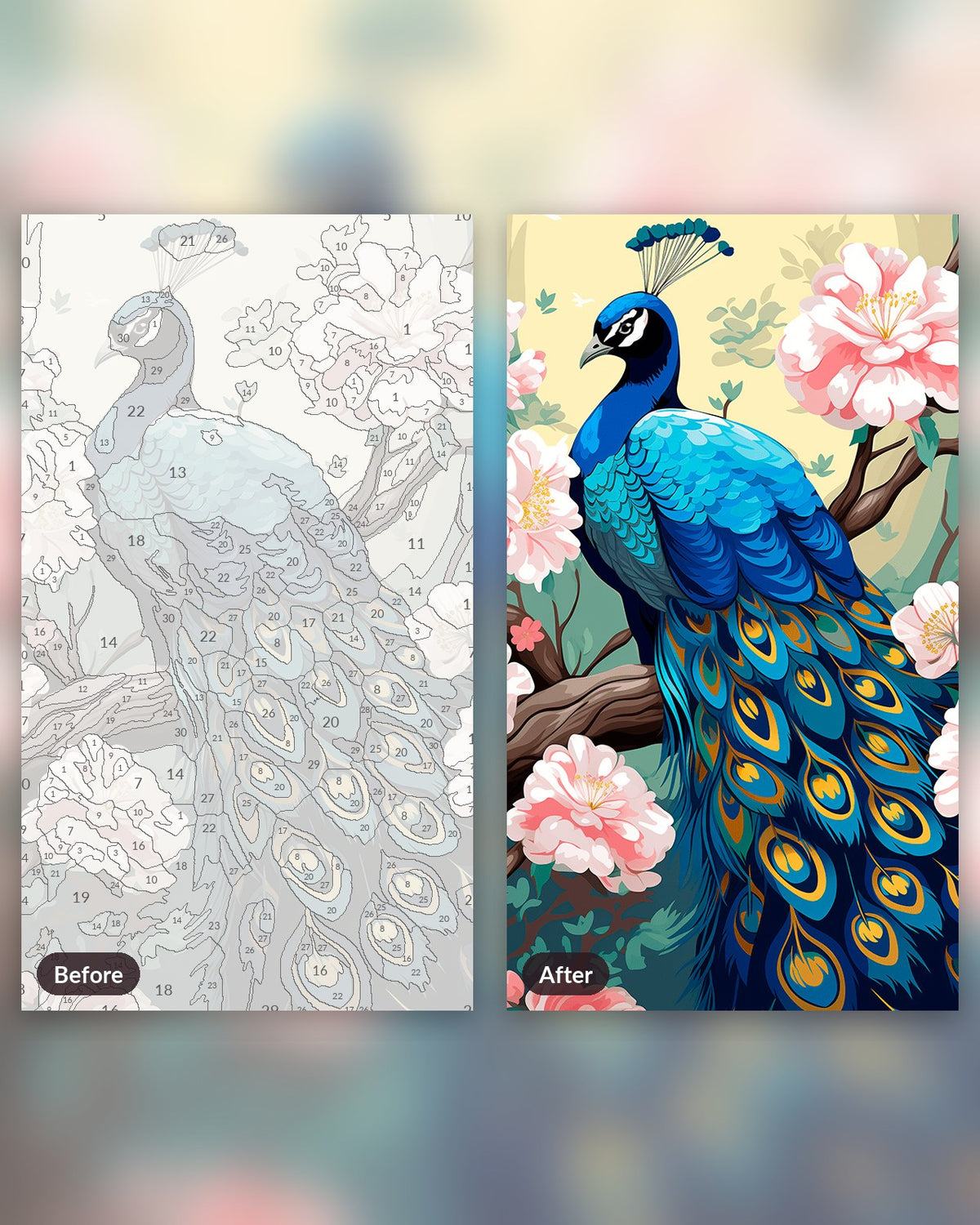 Peacock's Elegance paint by numbers kit, before and after