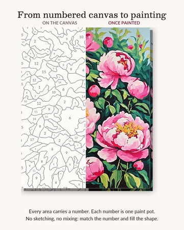 Peony Bushes in Full Pink Bloom numbered canvas next to the finished painting