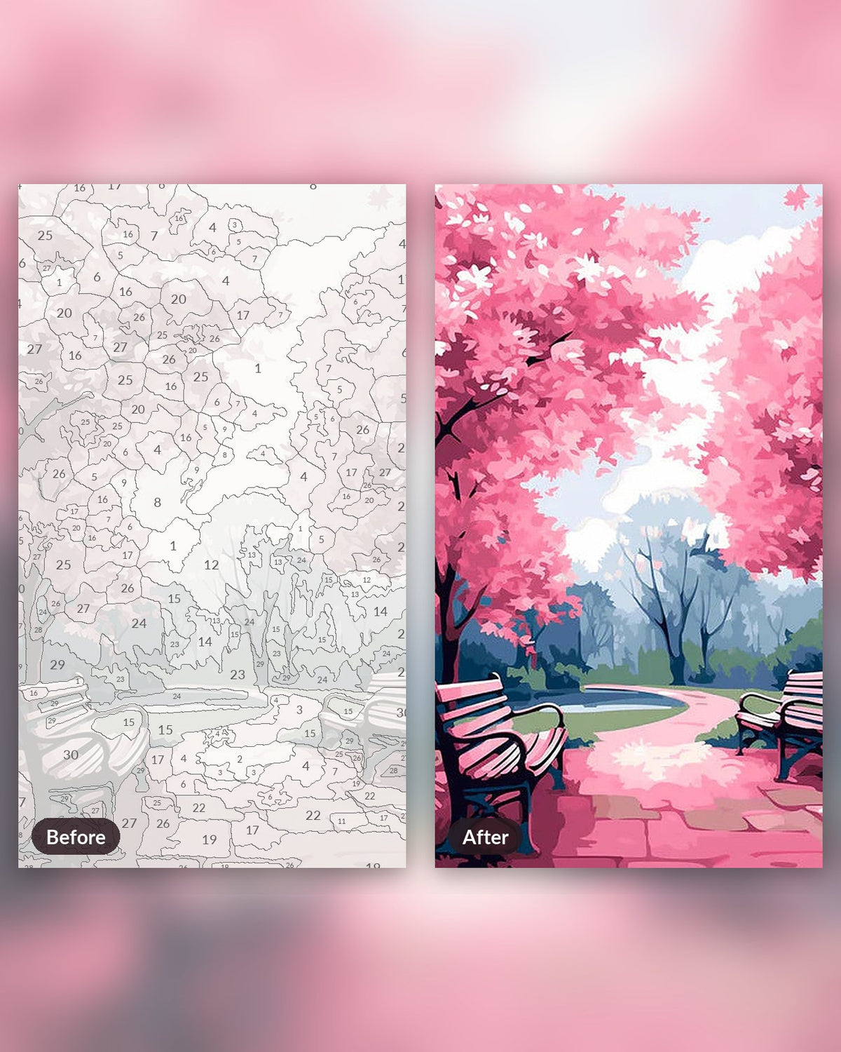 Pink Park paint by numbers kit, before and after