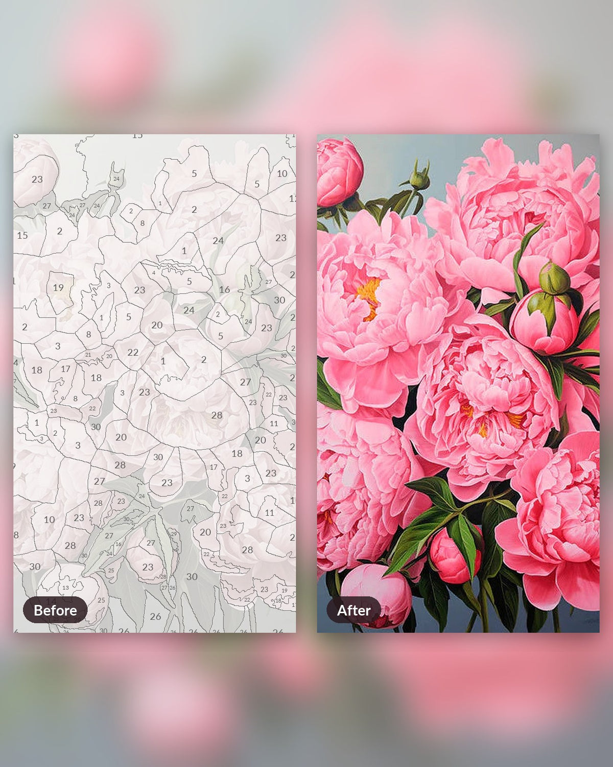 Pink Peony Perfection paint by numbers kit, before and after