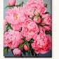 Pink Peony Perfection paint by numbers kit on stretched canvas