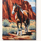 Pinto Horse in the Red Canyon paint by numbers kit on stretched canvas