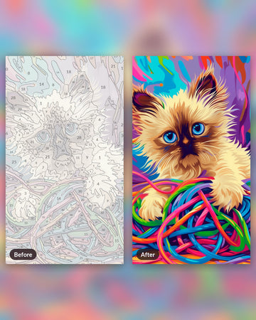 Playful Ragdoll Cat paint by numbers kit, before and after