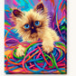 Playful Ragdoll Cat paint by numbers kit on stretched canvas