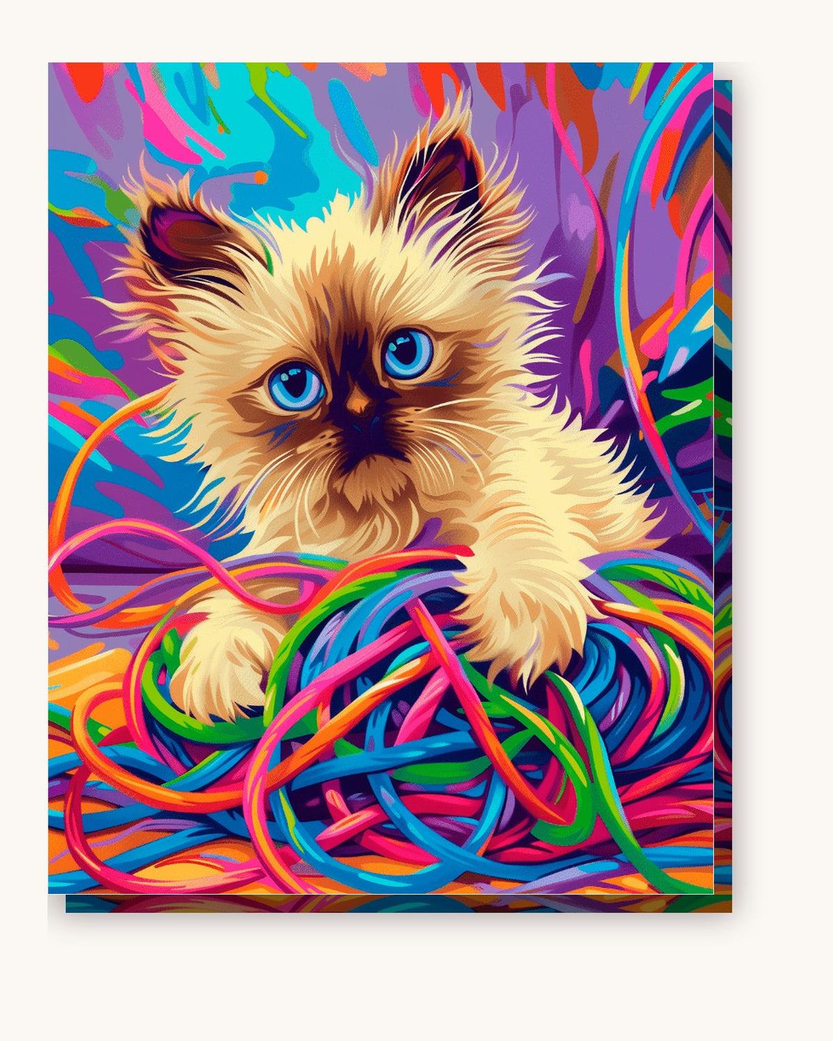 Playful Ragdoll Cat paint by numbers kit on stretched canvas