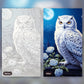Polar Owl paint by numbers kit, before and after