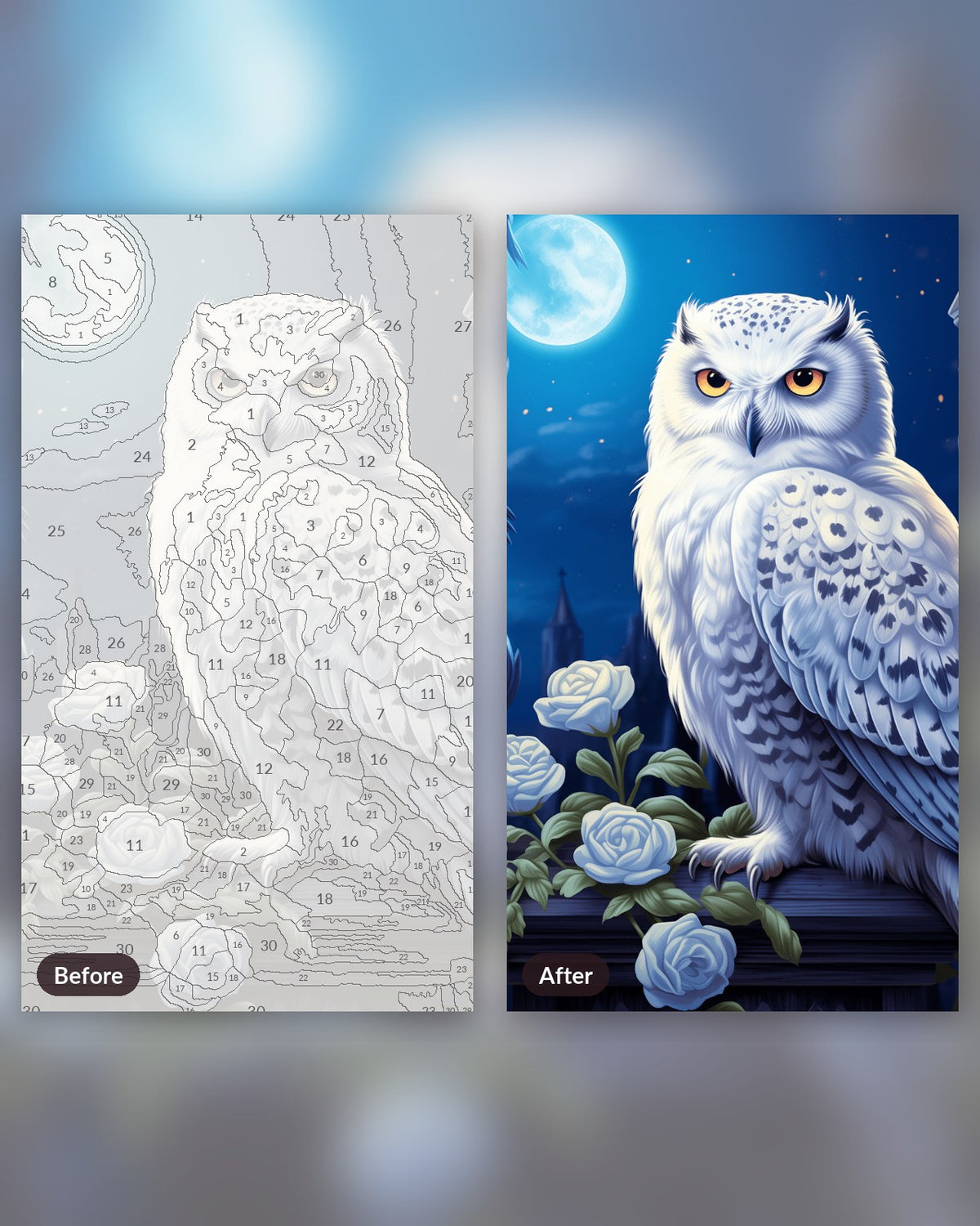 Polar Owl paint by numbers kit, before and after