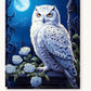 Polar Owl paint by numbers kit on stretched canvas