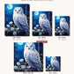 Polar Owl canvas sizes from 12 x 12 to 23.5 x 23.5 inches