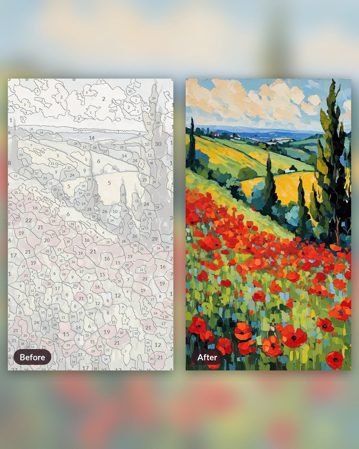Poppy Field after Monet paint by numbers kit, before and after