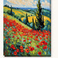 Poppy Field after Monet paint by numbers kit on stretched canvas