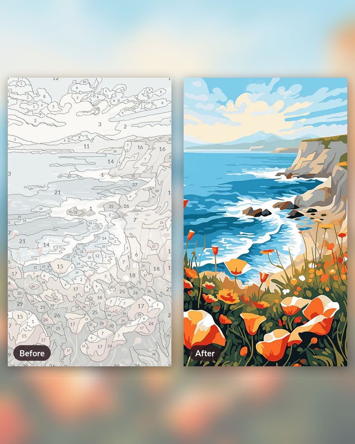 Poppy Paradise paint by numbers kit, before and after