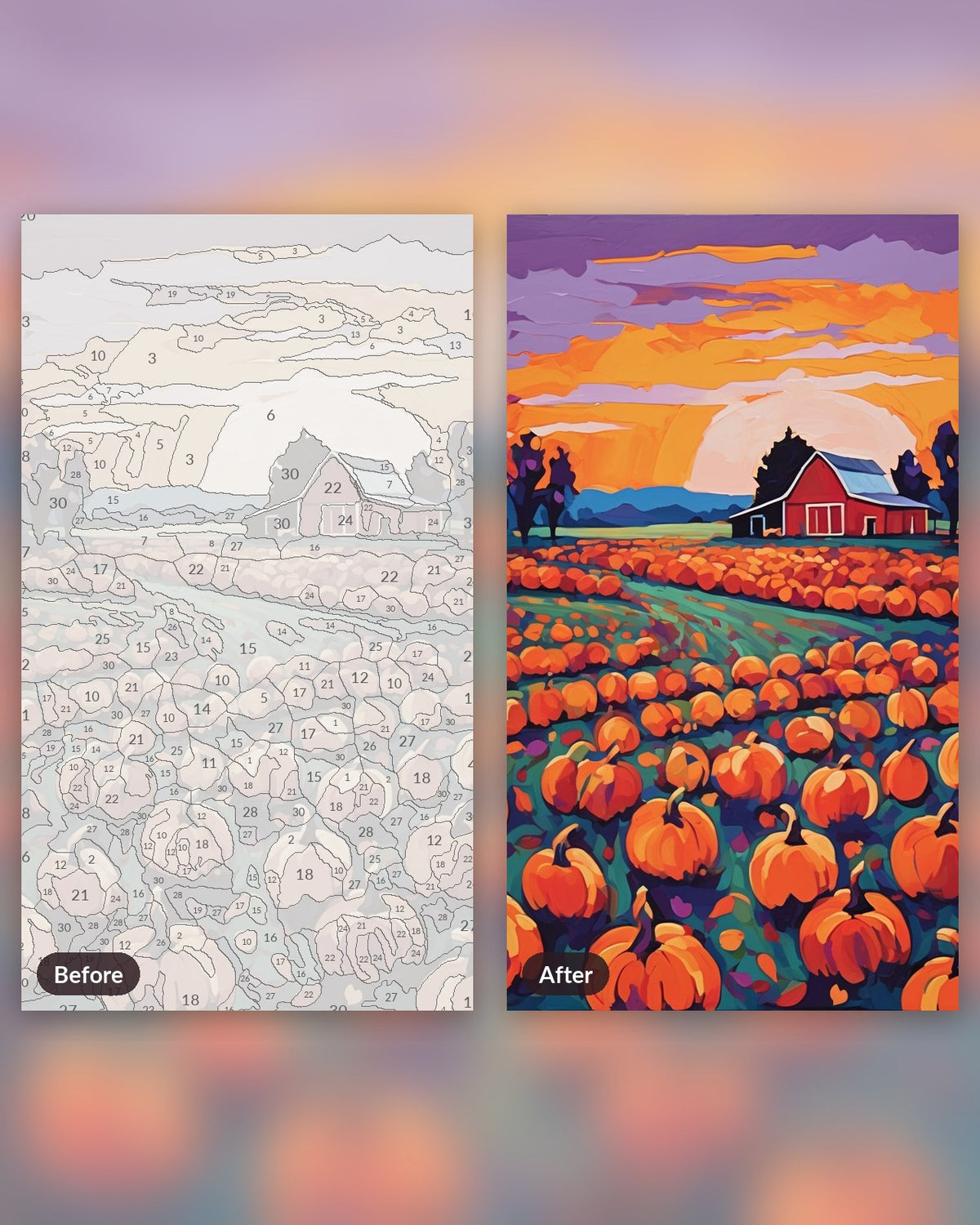 Pumpkin Patch at Dusk paint by numbers kit, before and after