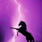Purple Horse - Artistry By Numbers
