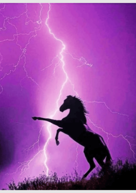 Purple Horse - Artistry By Numbers