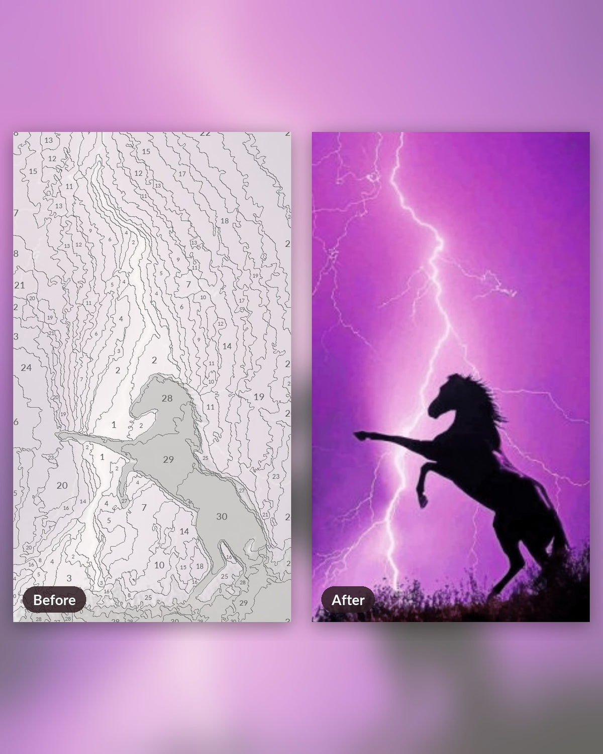 Purple Horse paint by numbers kit, before and after