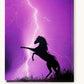 Purple Horse paint by numbers kit on stretched canvas