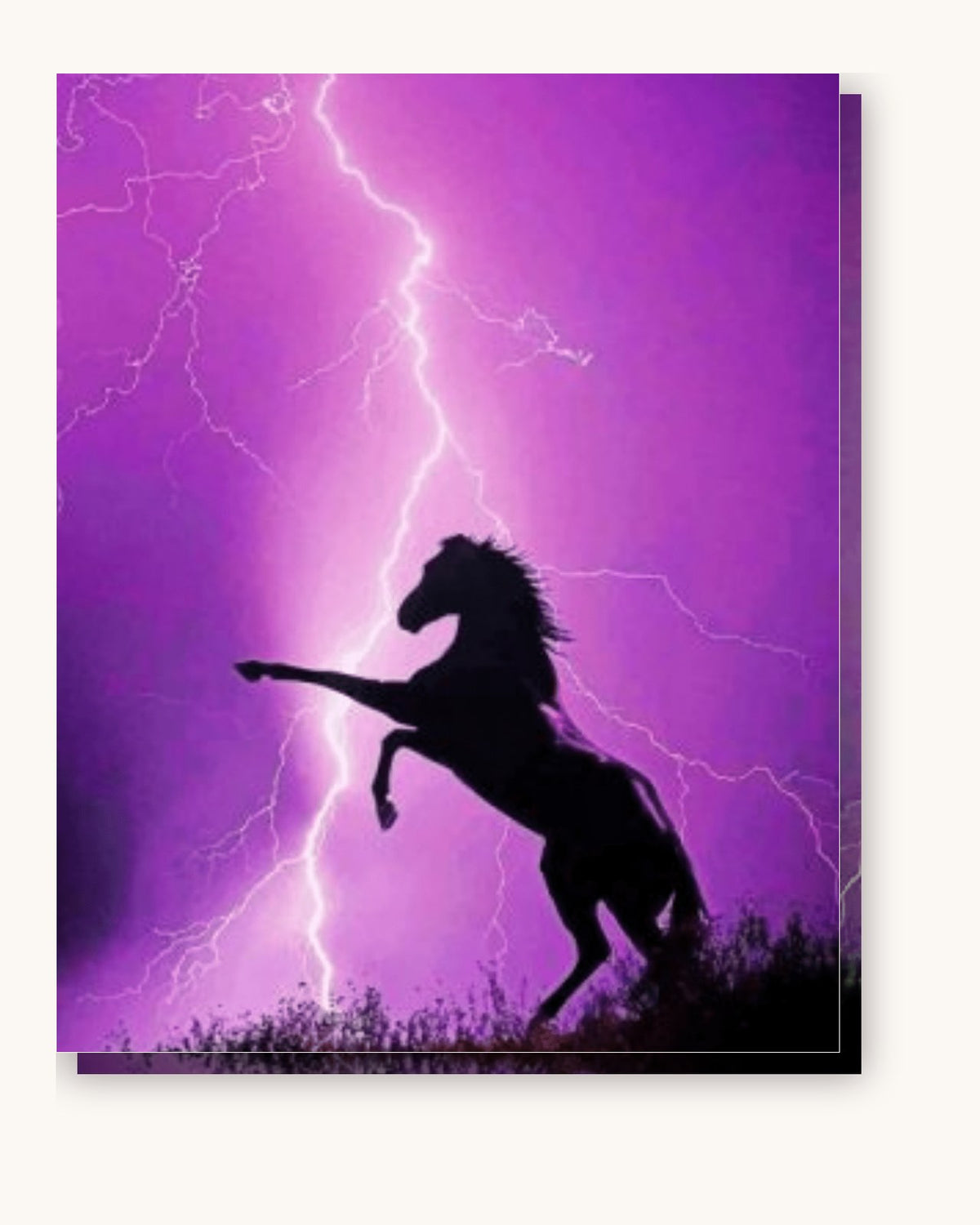 Purple Horse paint by numbers kit on stretched canvas
