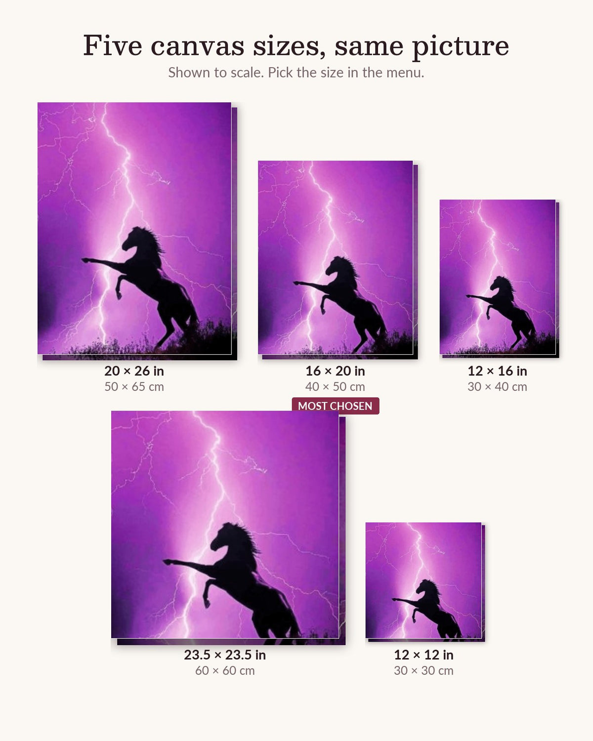 Purple Horse canvas sizes from 12 x 12 to 23.5 x 23.5 inches