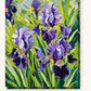 Purple Irises in the Spring Garden paint by numbers kit on stretched canvas