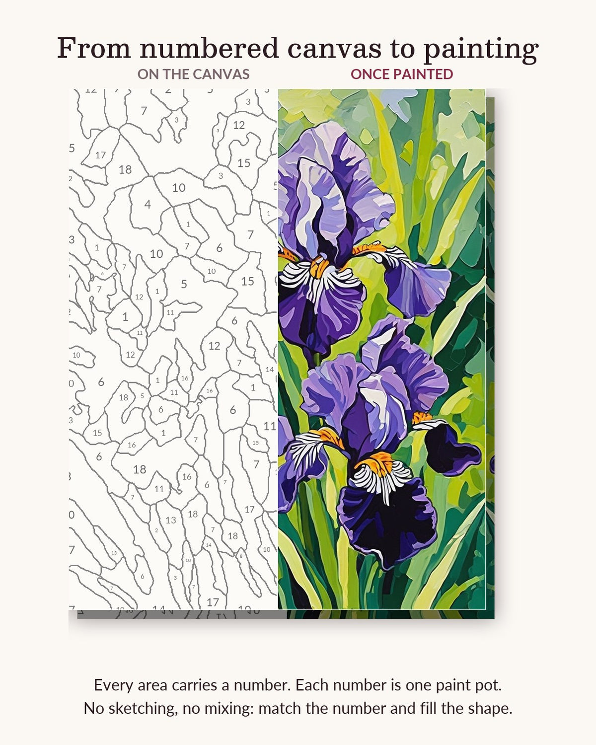 Purple Irises in the Spring Garden numbered canvas next to the finished painting