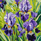 purple irises with orange and white details among tall green leaves, paint by numbers kit