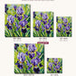 Purple Irises in the Spring Garden canvas sizes from 12 x 12 to 23.5 x 23.5 inches