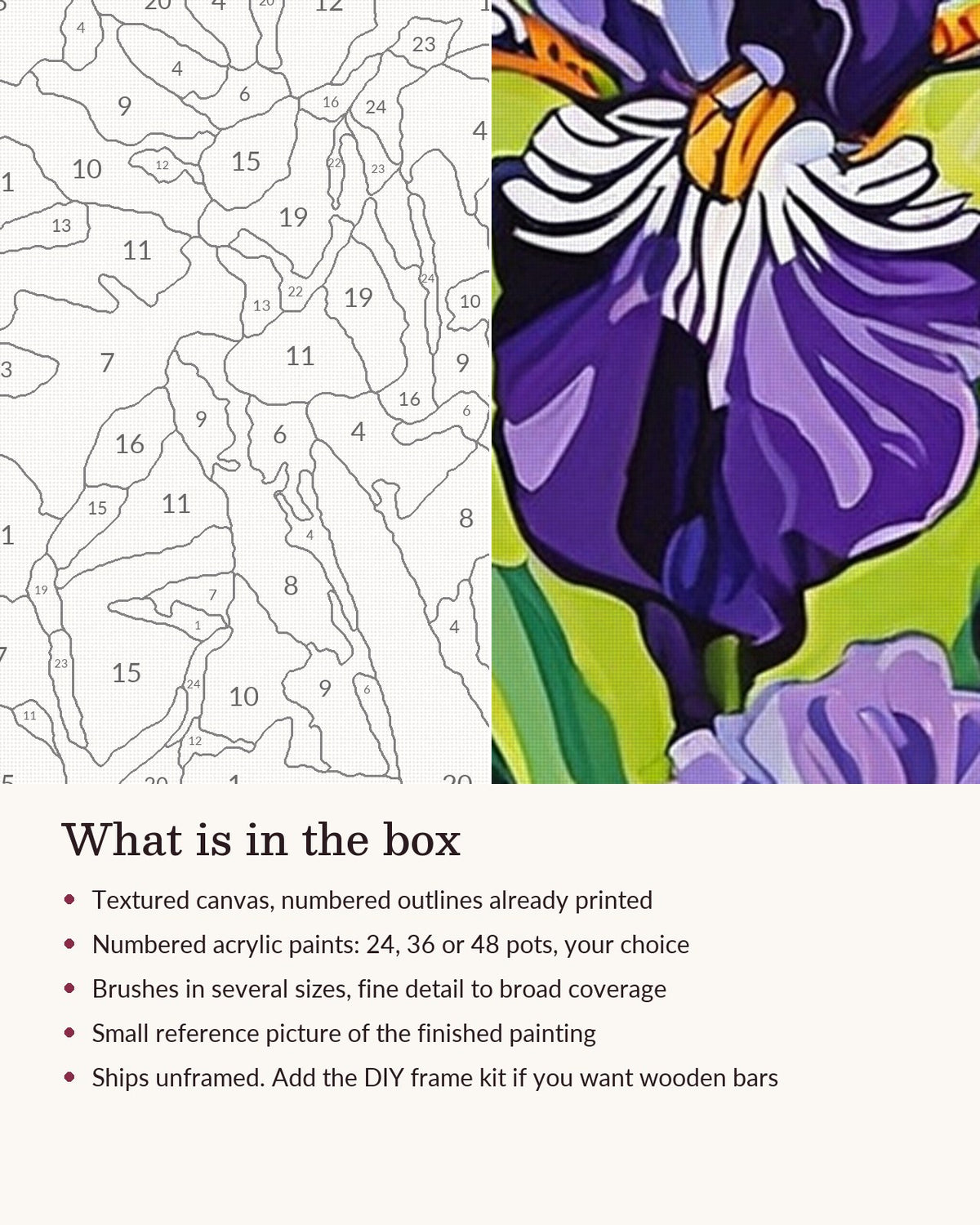 Close-up of the Purple Irises in the Spring Garden canvas texture and printed numbers
