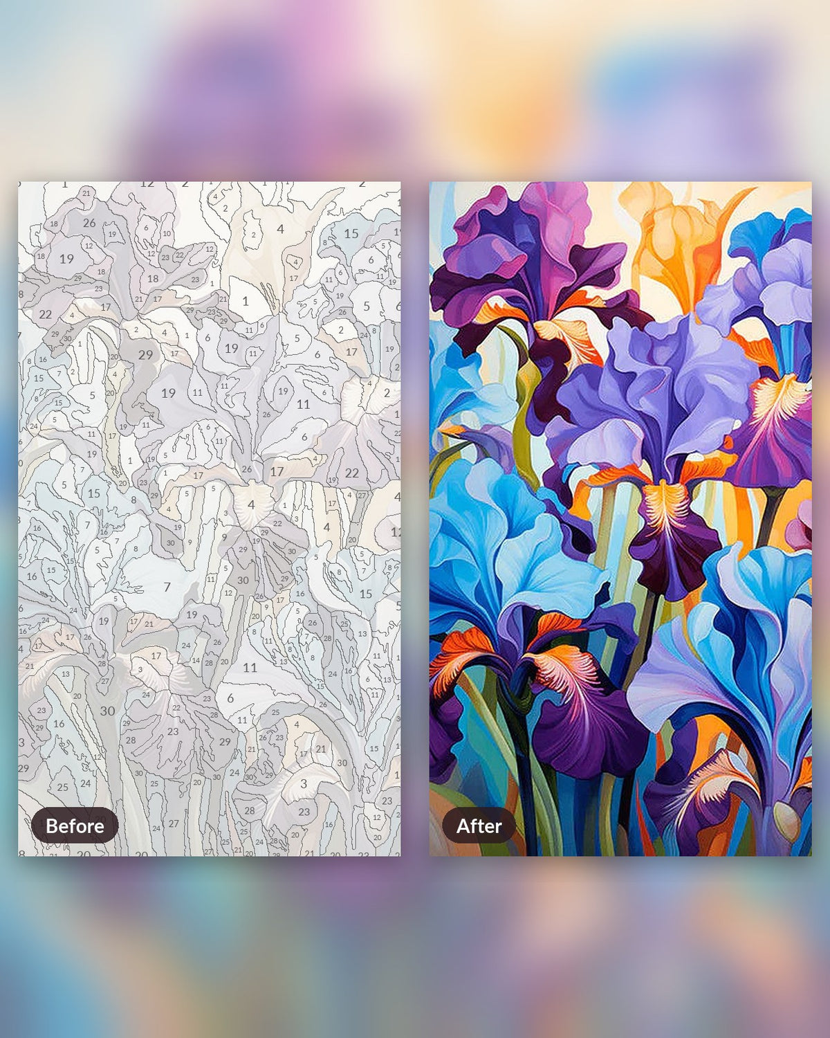 Purple View paint by numbers kit, before and after