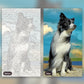 Quiet Dog paint by numbers kit, before and after
