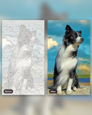 Quiet Dog paint by numbers kit, before and after