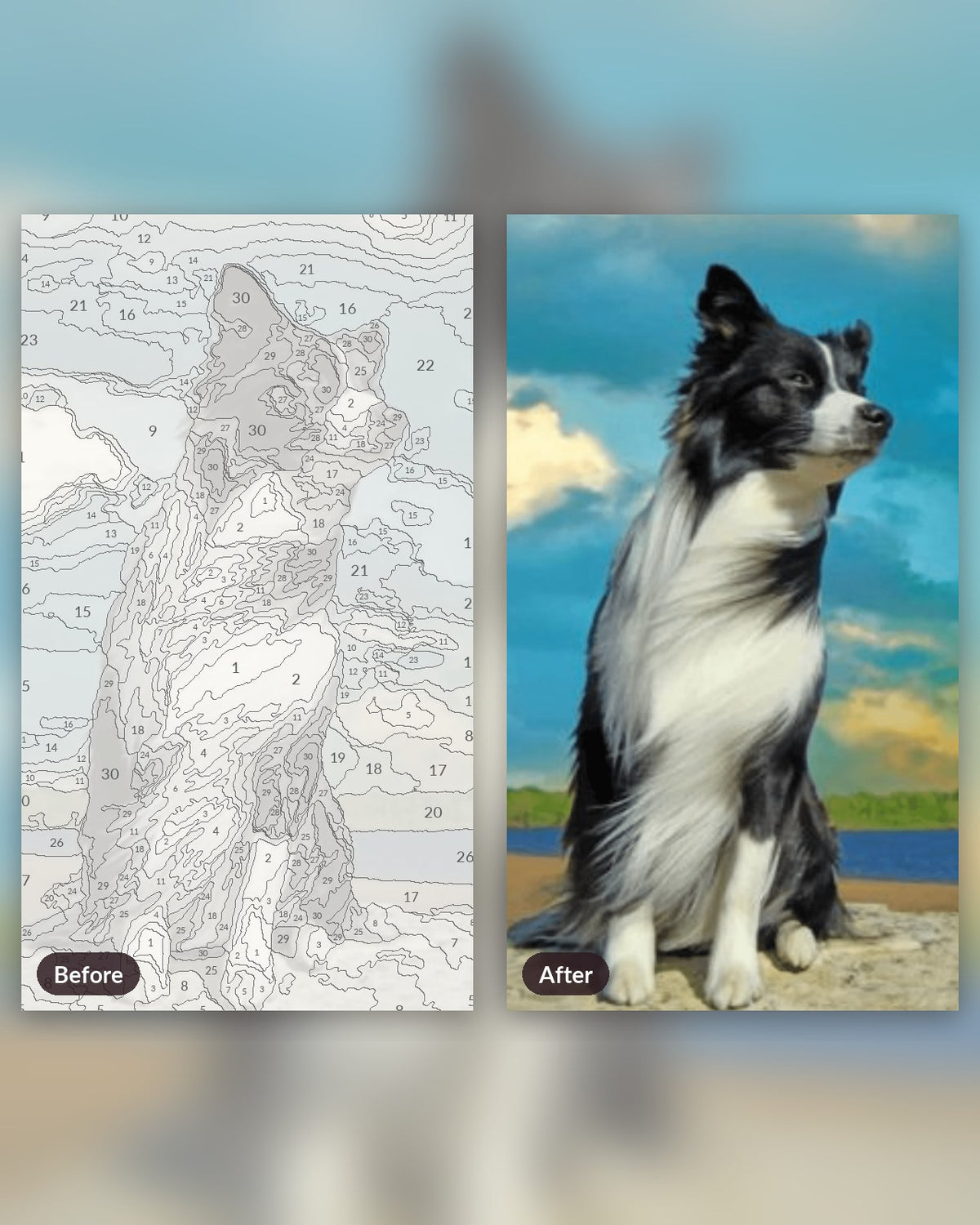 Quiet Dog paint by numbers kit, before and after