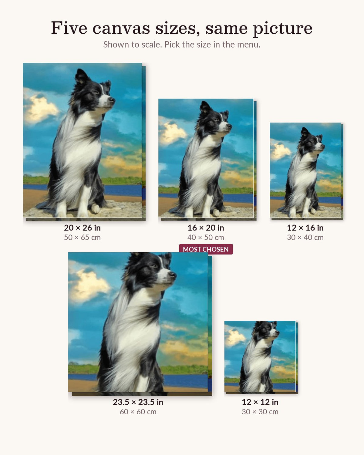 Quiet Dog canvas sizes from 12 x 12 to 23.5 x 23.5 inches