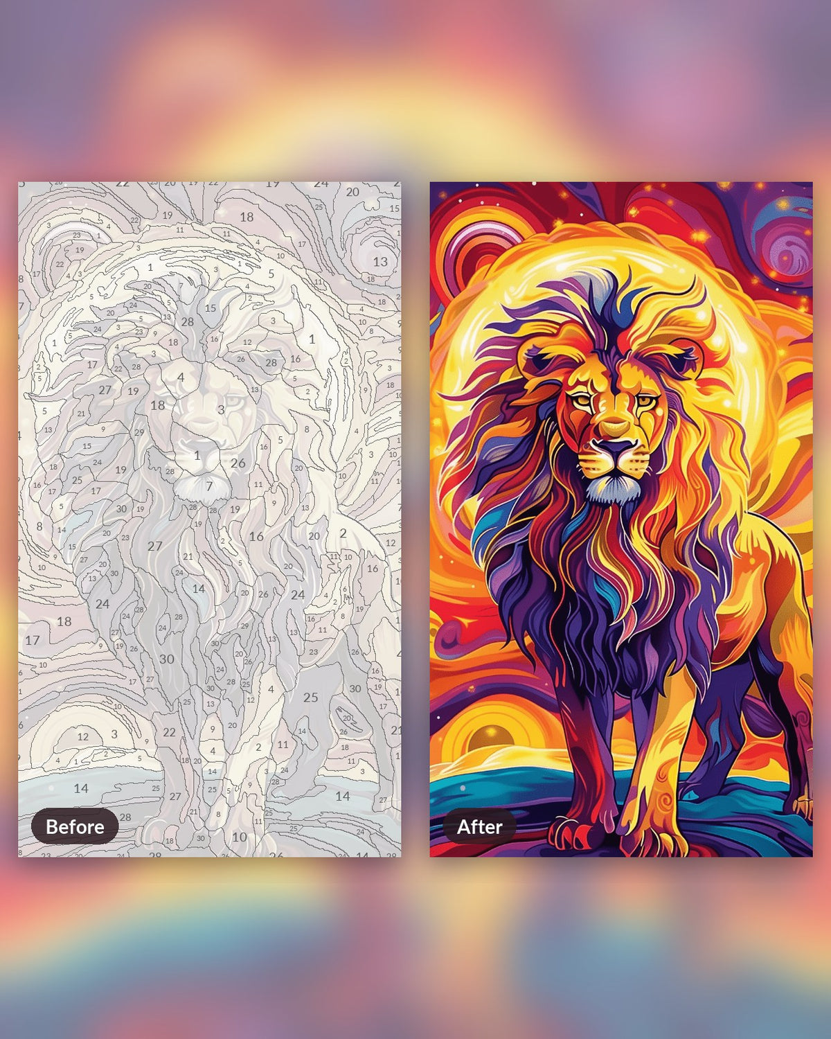 Radiant Sun Lion paint by numbers kit, before and after