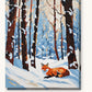 Red Fox Curled in the Snow paint by numbers kit on stretched canvas