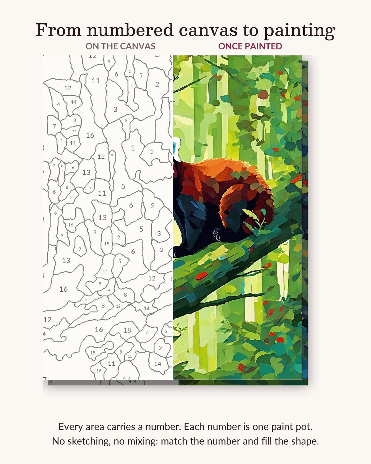 Red Panda on a Mossy Branch numbered canvas next to the finished painting