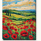 Red Poppy Field Under Golden Clouds paint by numbers kit on stretched canvas