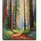 Redwood Forest Path paint by numbers kit on stretched canvas