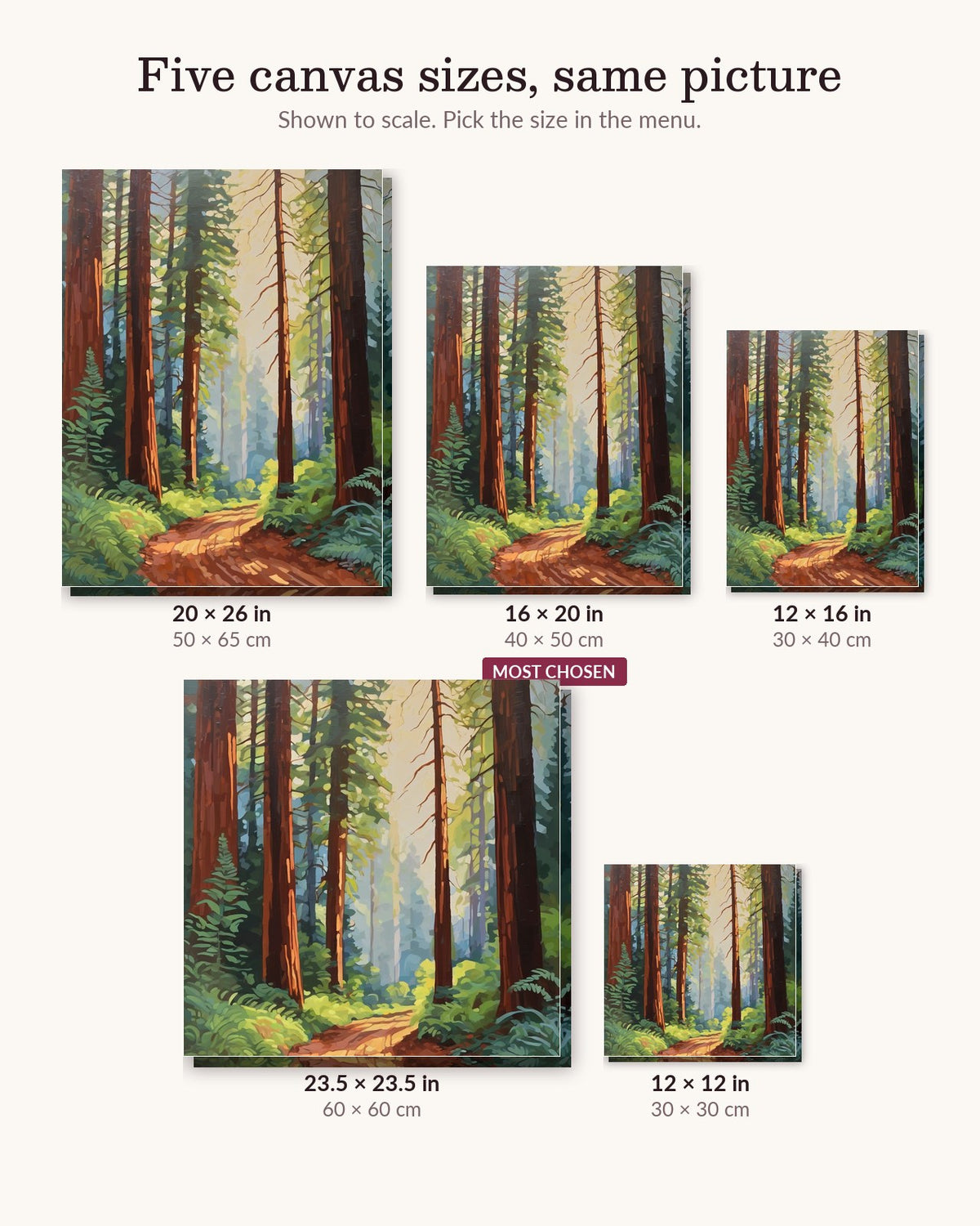 Redwood Forest Path canvas sizes from 12 x 12 to 23.5 x 23.5 inches