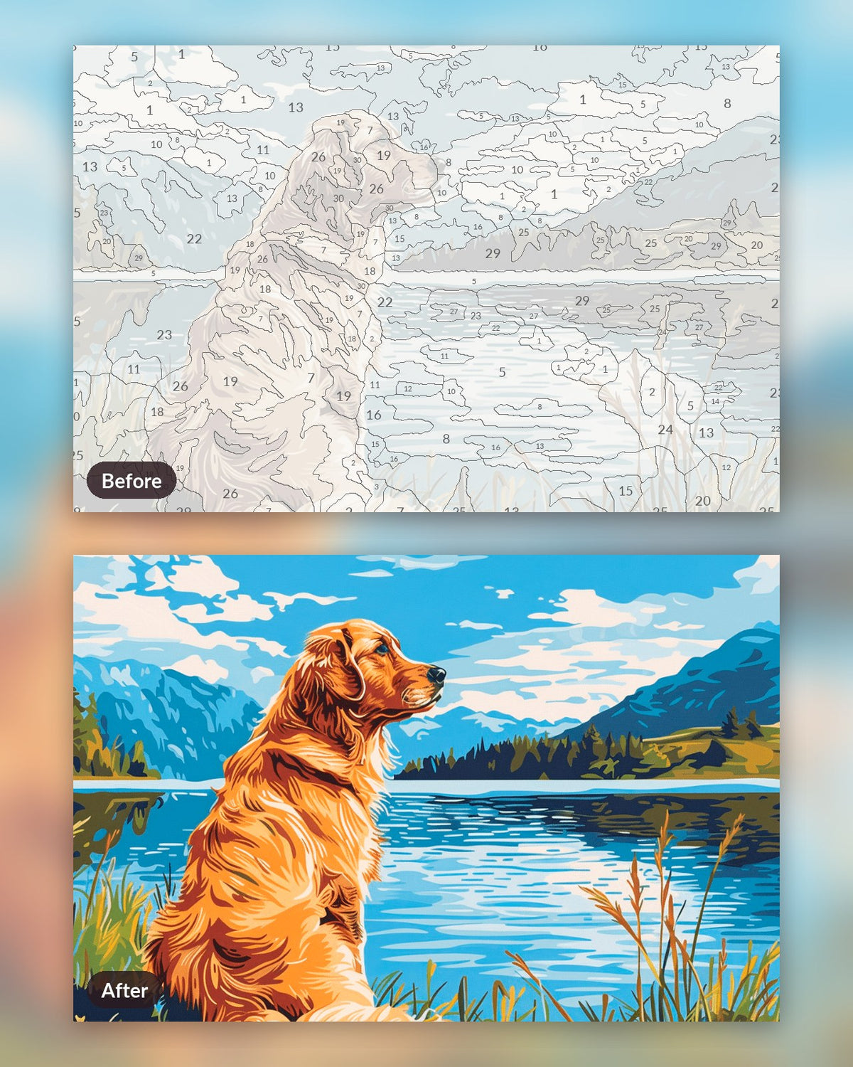 Retriever by the Lake paint by numbers kit, before and after
