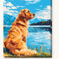 Retriever by the Lake paint by numbers kit on stretched canvas