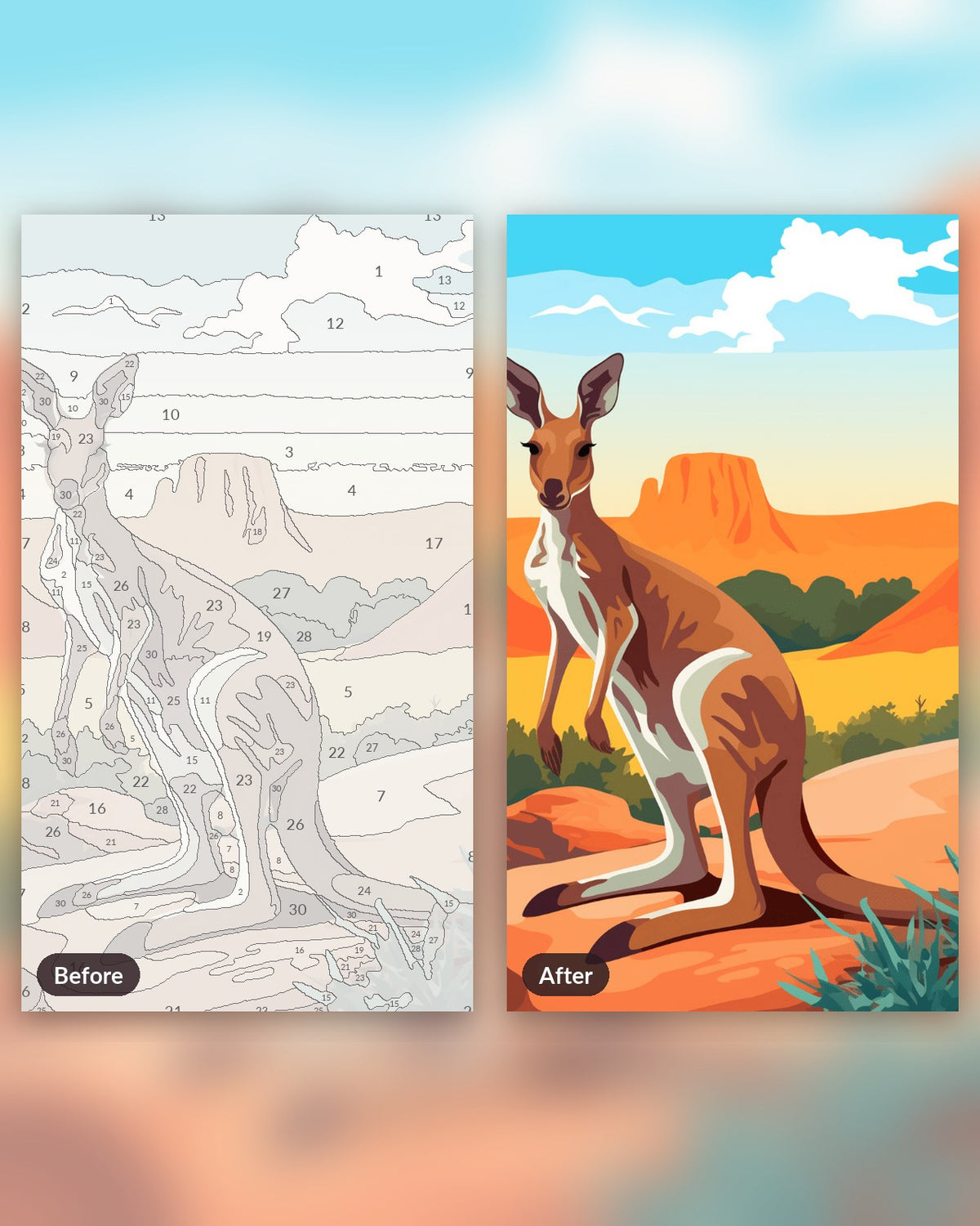 Roaming Kangaroo paint by numbers kit, before and after