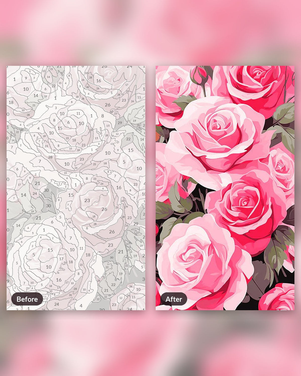 Rosy Elegance paint by numbers kit, before and after