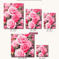 Rosy Elegance canvas sizes from 12 x 12 to 23.5 x 23.5 inches