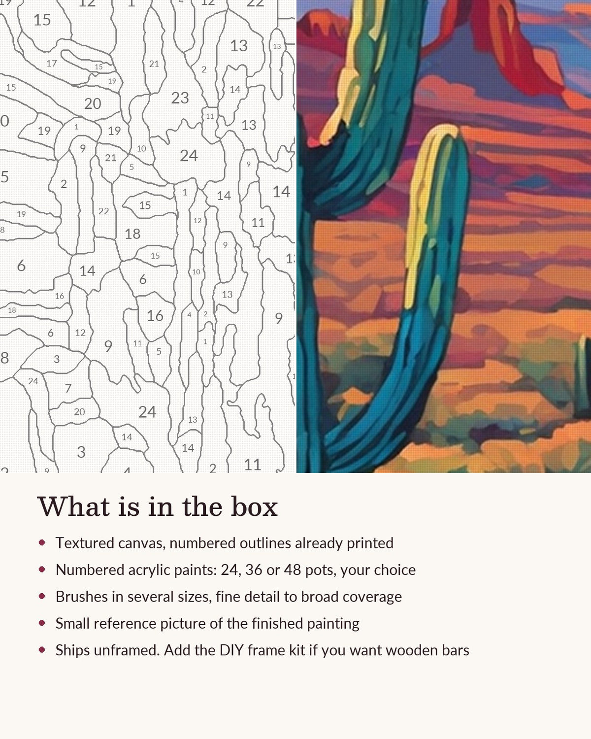 Close-up of the Saguaro Trail with Pink Blooms canvas texture and printed numbers