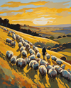 Paint by numbers canvas of a shepherd seen from behind walking with his flock across a golden hillside at sunset