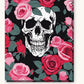 Skull Wrapped in Pink Roses paint by numbers kit on stretched canvas