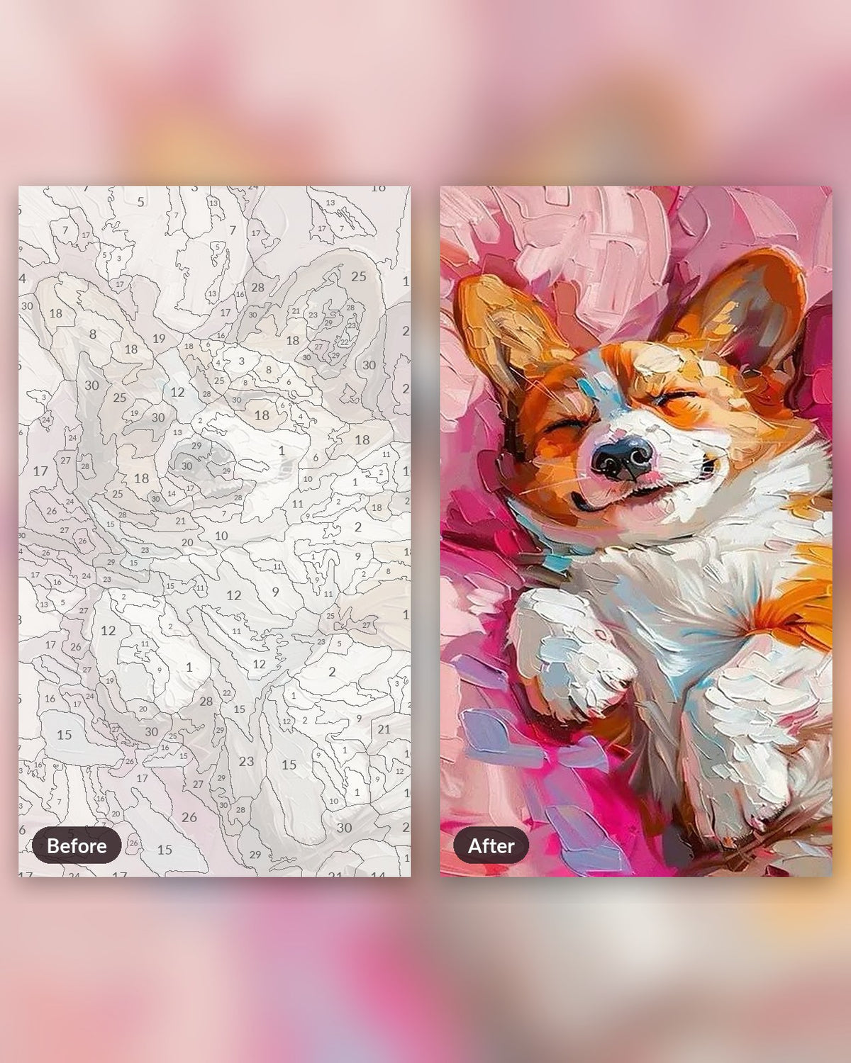 Sleepy Dog paint by numbers kit, before and after