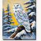 Snowy Owl on a Pine Branch paint by numbers kit on stretched canvas
